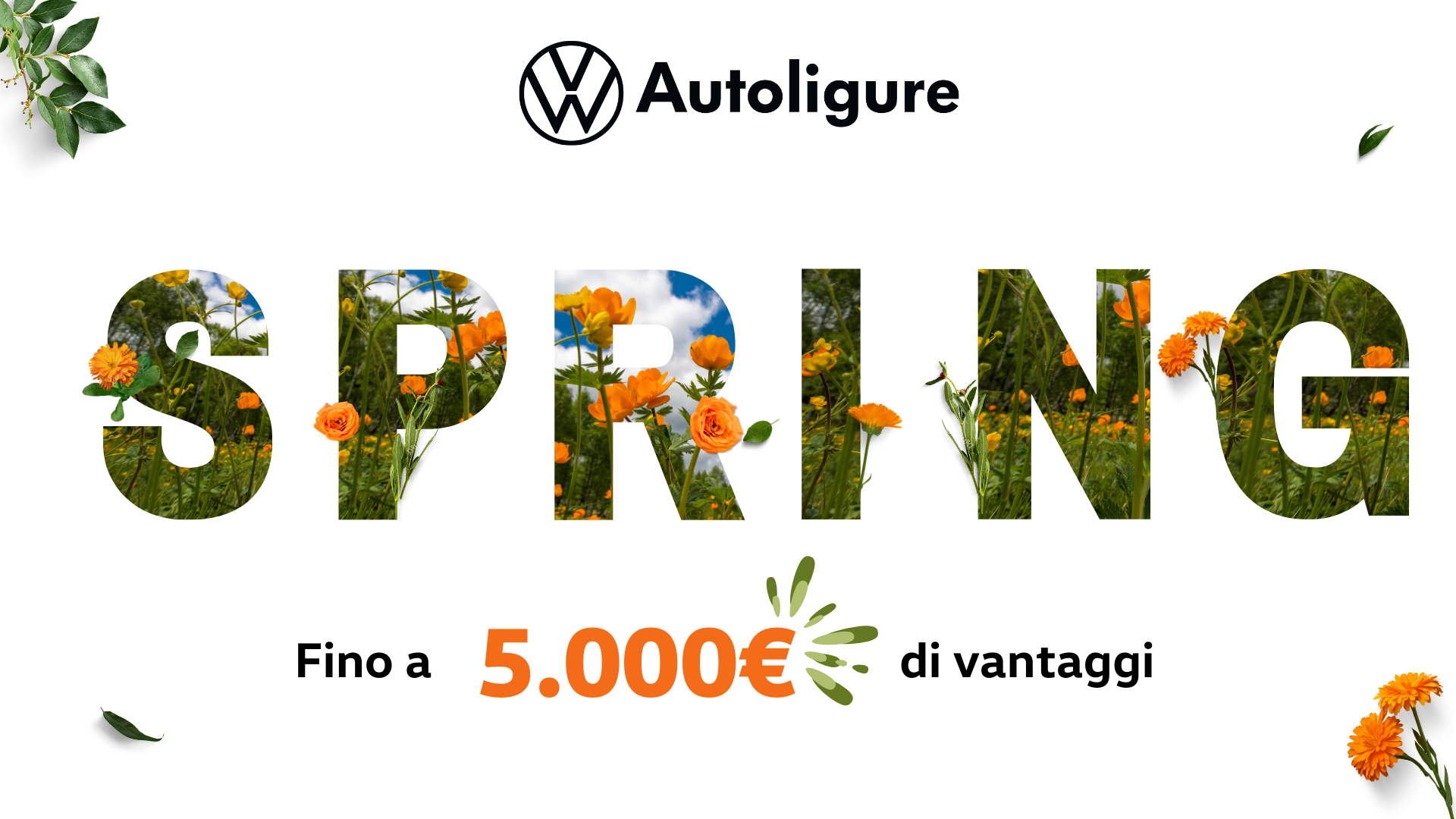 Autoligure SPRING